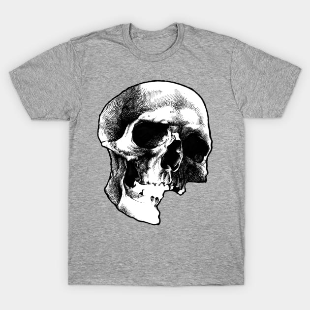 Skull T-Shirt by rottenfantom